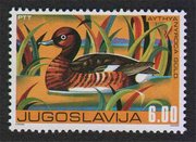 poštanska marka fauna - plovka crna